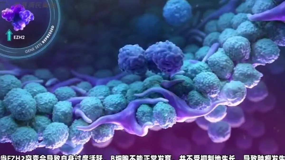 医生与患者讨论他泽司他临床试验结果